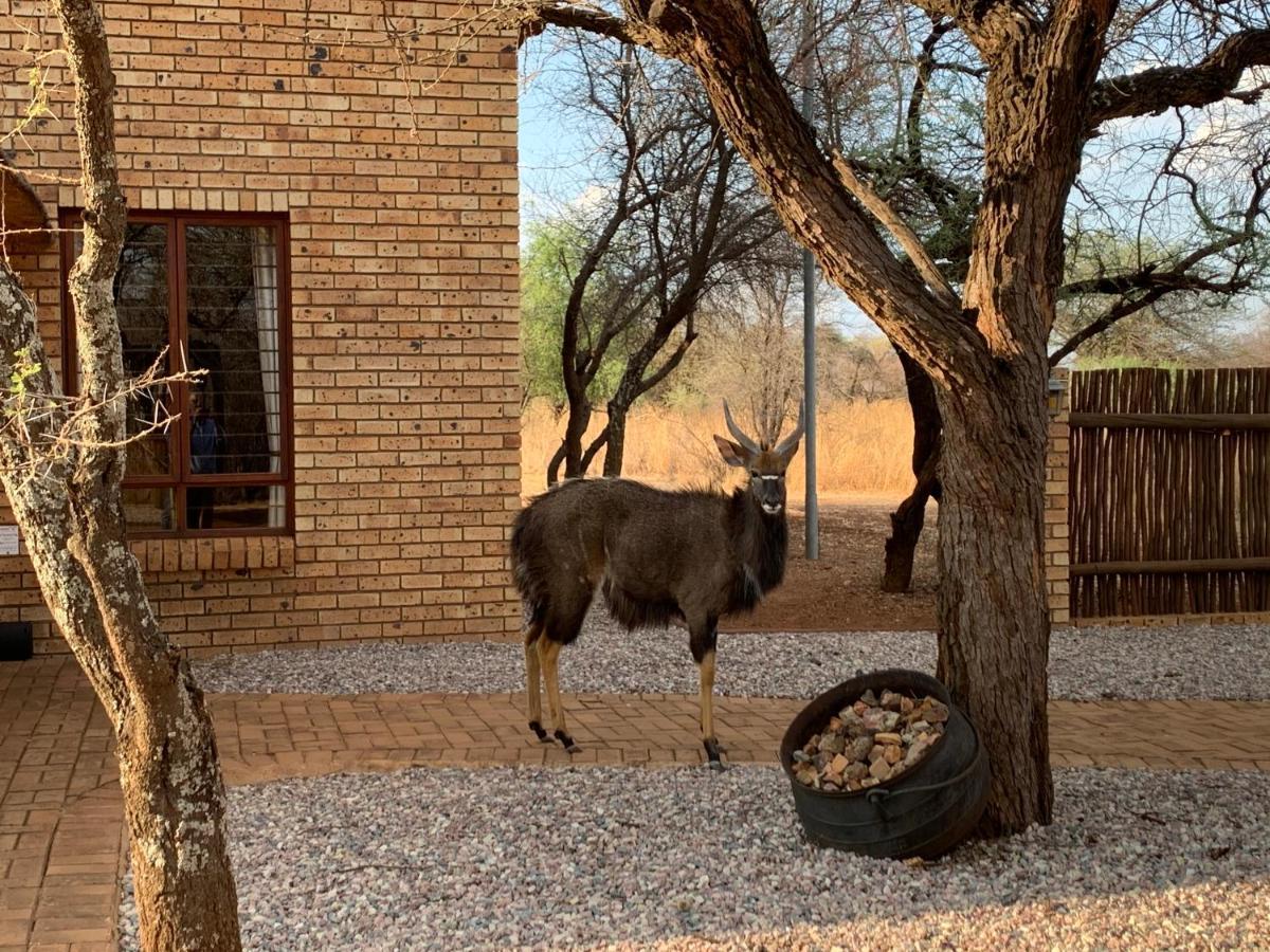 Makhato Bush Lodge 111 Bela-Bela Buitenkant foto
